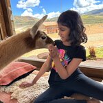 Photo taken by Saba D