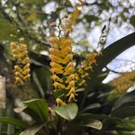 Photo taken by Ora Y