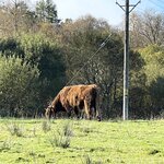 Photo taken by David L