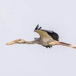 Photo taken by Graham D