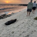 Photo taken by Mark A