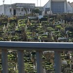 Photo taken by Rajarshi M