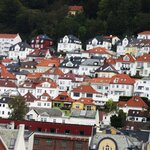 Photo taken by Sapna G