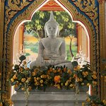 Photo taken by Kim B