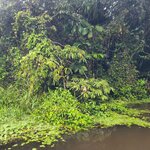 Photo taken by Esther B