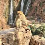 Photo taken by Betsy V