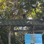 Photo taken by Jacob S