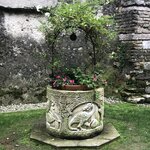 Photo taken by Laurie W