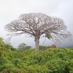 Photo taken by Graeme W