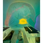 Photo taken by Ann B