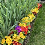 Photo taken by Nini K