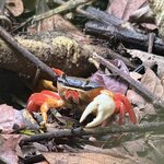 Photo taken by Dana F