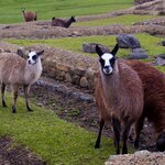 Photo taken by Sabine V