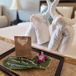 Photo taken by Beatrix K