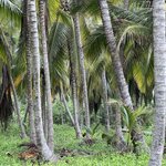 Photo taken by Beatriz V