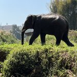 Photo taken by Thomas C