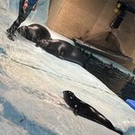 Photo taken by Grace S