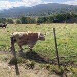 Photo taken by Marcos M