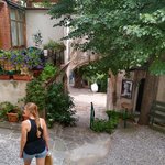 Photo taken by Janis R