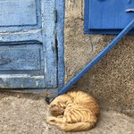 Photo taken by Laura M