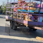 Photo taken by Leslie S