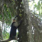 Photo taken by Brett F