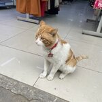 Photo taken by Stephanie S