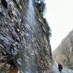 Photo taken by Willow K