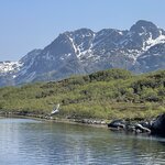 Photo taken by Susan K