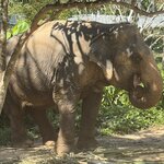 Photo taken by Deborah B