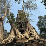 Photo taken by Megan H