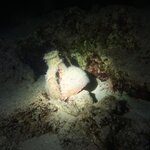 Photo taken by alai a