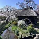 Photo taken by Sarah S