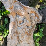 Photo taken by Jason C