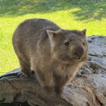 Photo taken by Shannon R