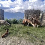 Photo taken by Dion F