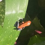 Photo taken by Kim L