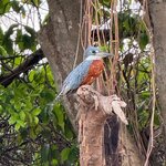 Photo taken by Kakoli K