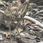 Photo taken by Mark A