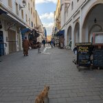 Photo taken by Hunter M