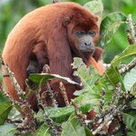 Photo taken by Patricia D