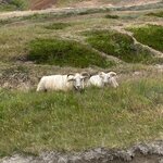 Photo taken by Jennifer M