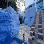 Photo taken by Mohammad Y