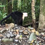 Photo taken by Anna L