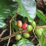 Photo taken by Pat K