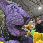 Photo taken by Shannon F