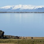 Photo taken by Janet M