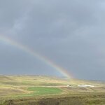 Photo taken by Carmen W