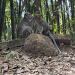 Photo taken by Bailey W