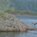 Photo taken by paolo c